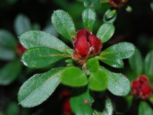 CSC_4245