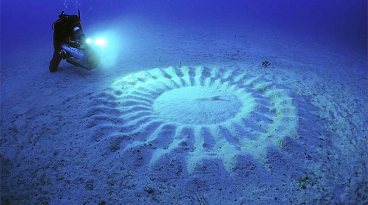 pufferfish-2